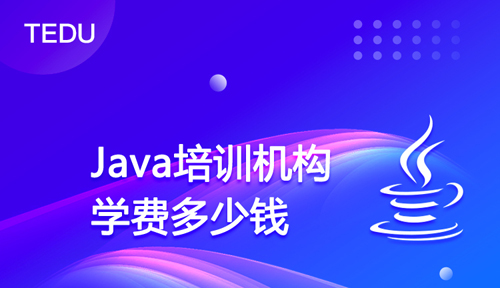 成人編程班大概多少錢？